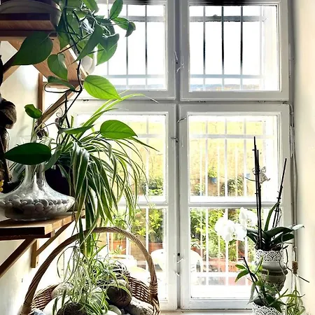 Unique, Homey Apartment In Central Budapest *